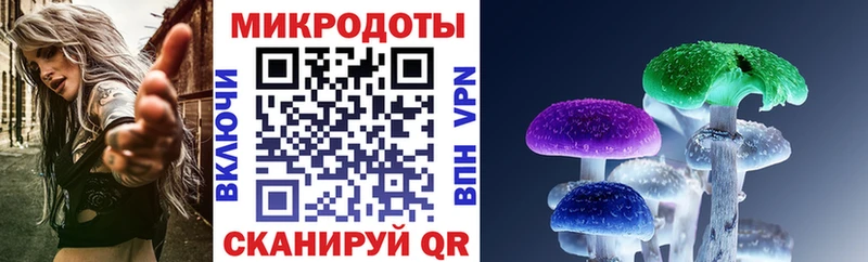 Галлюциногенные грибы Cubensis  купить закладку  Воркута 