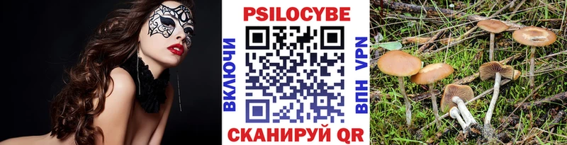 Галлюциногенные грибы MAGIC MUSHROOMS Воркута