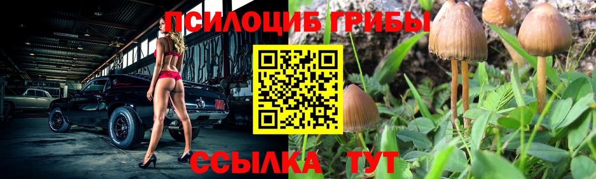 Воркута  Галлюциногенные грибы Cubensis  Вход с VPN 