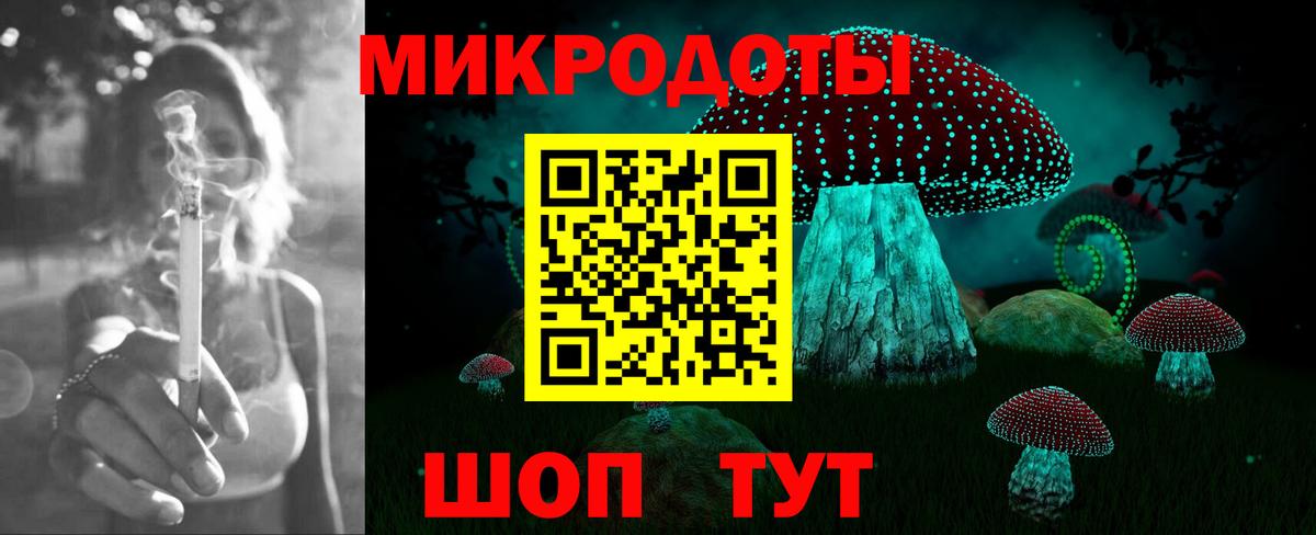 Галлюциногенные грибы мухоморы Воркута