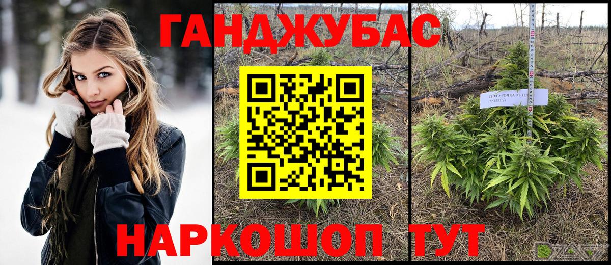 Канабис сатива Воркута
